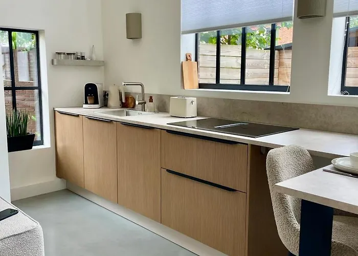 Het Klaslokaal In De Oude School Met Tuin Lejlighed