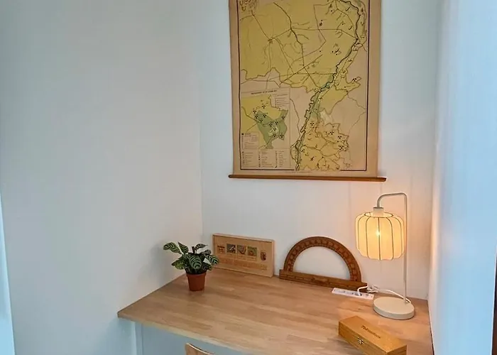 Het Klaslokaal In De Oude School Met Tuin *